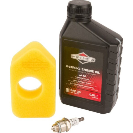 Service Set Classic BRIGGS ET STRATTON 992230