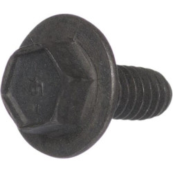 Schraube BRIGGS ET STRATTON 691125