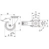 Roulettes pivotantes en acier inoxydable à platine de fixation TENTE 7477PJC100P50