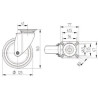 Roulettes pivotantes en acier inoxydable à platine de fixation TENTE 7470PJC125P50