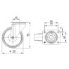 Roulettes pivotantes à bandage en polyamide gris et anneau central en caoutchouc TENTE 3470HUR125P62