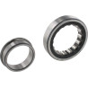 Roulement rouleaux cylindriques INA/FFAG NJ207ETVP2C3