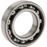 Roulement rainuré à billes INA/FFAG 6007RSRC3