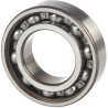 Roulement rainuré à billes INA/FFAG 6005ZC3