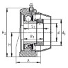 Roulement INA/FFAG PASE20TVFA1255