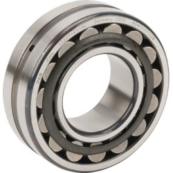 Roulement AGRIA AGW79609
