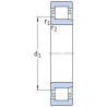 Roulement à cylindre NJ 205 ECP 25 x 52 x 15mm SKF 7500NJ205E