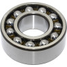 Roulement à billes SKF 75002308