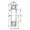 Roulement à billes oblique SKF 75007305BEP
