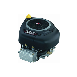 BRIGGS ET STRATTON 219807