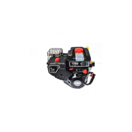 BRIGGS ET STRATTON 100202